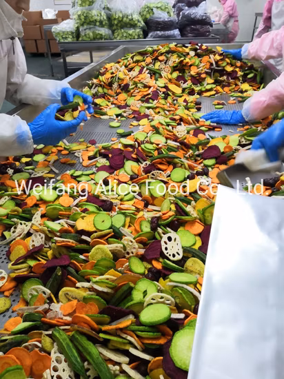 Ttn Bulk Dried Vacuum Fried Vegetable Bulk Broccoli Chips