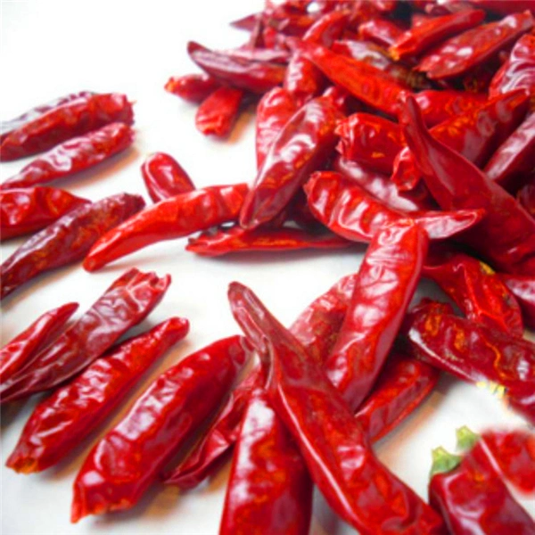 Dry Chili Chaotian Chili Red Pepper for Hot Pot Sichuan Restaurant Raw Material Spice & Herbs