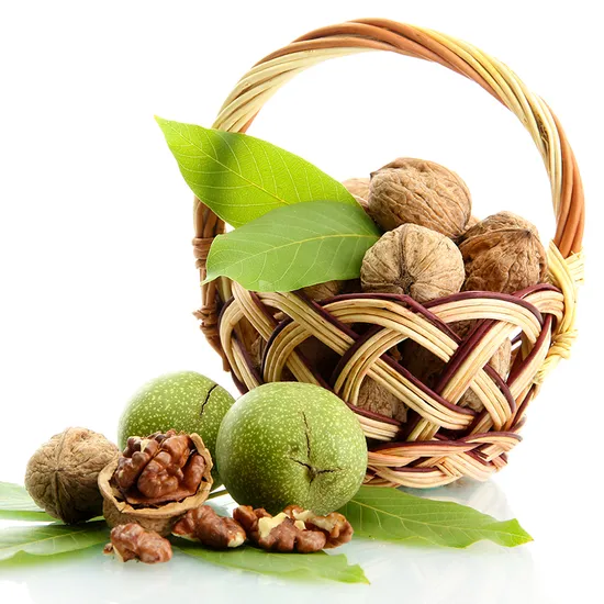 호두 알갱이 185개 껍질을 벗긴 호두 알갱이 엑스트라 라이트