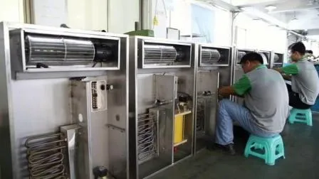 유기농 신장 호두 커널 판매 중